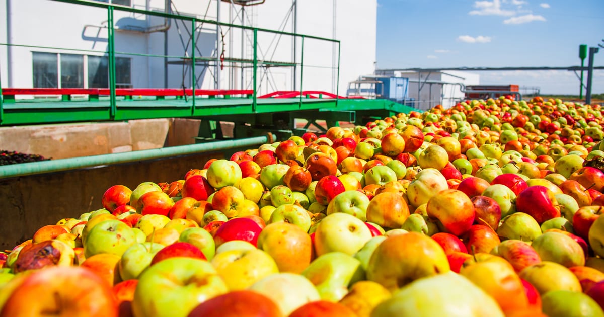 Software para agroindustria en Chile: guía práctica